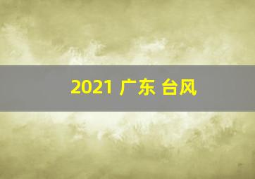 2021 广东 台风